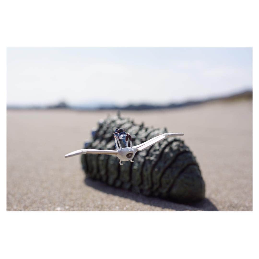 nqouのインスタグラム：「#風の谷のナウシカ #ナウシカ #nausicaa #王蟲 #ジブリ #ghibli #ミニチュア #miniature #nqouminiature」