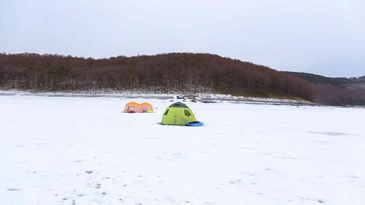 のインスタグラム：「. 在東北就是要玩雪玩好玩滿，這次來體驗的是湖上釣魚，沒錯就是湖上！！這個季節湖面全部結冰，所以可以安心地在湖上跳躍、搭帳篷、釣魚、 奔跑，然後就 . #岩洞湖 📍交通：從盛岡站搭巴士（一天四班） 📍營業：3月底，依融化狀況有可能提前結束 📍建議冰釣時間：中午前 📍價錢：釣魚券600円，租釣具2000円，兩人用帳棚3000円 . . ★影片有辛苦搭帳篷的過程，高畫質請點首頁連結 . . #日本東北 #東北女子travel #岩手 #盛岡 #日本釣魚 #雪景 #日本冰釣 #東北之旅 #冰釣 #氷上ワカサギ釣り #日本雪景 #東北旅遊 #日本自助 #ワカサギ釣り  #岩手旅行 #行くぜ東北 #冬のごほうびインスタキャンペーン #iwate #tohoku」