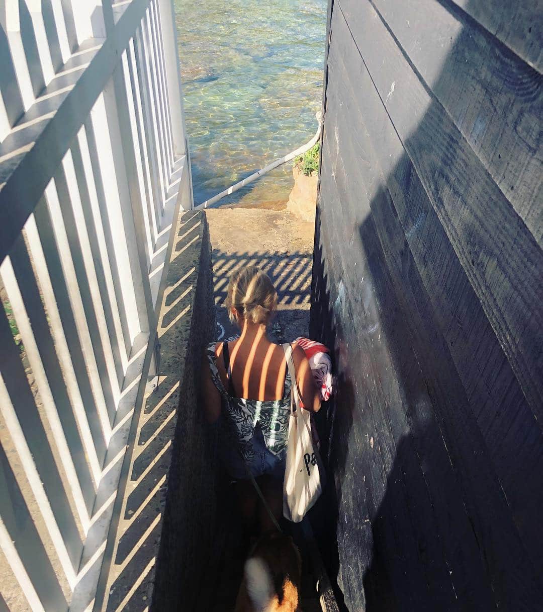 エミリー・スコットのインスタグラム：「Fluffy tail trying to beat us down the stairs」
