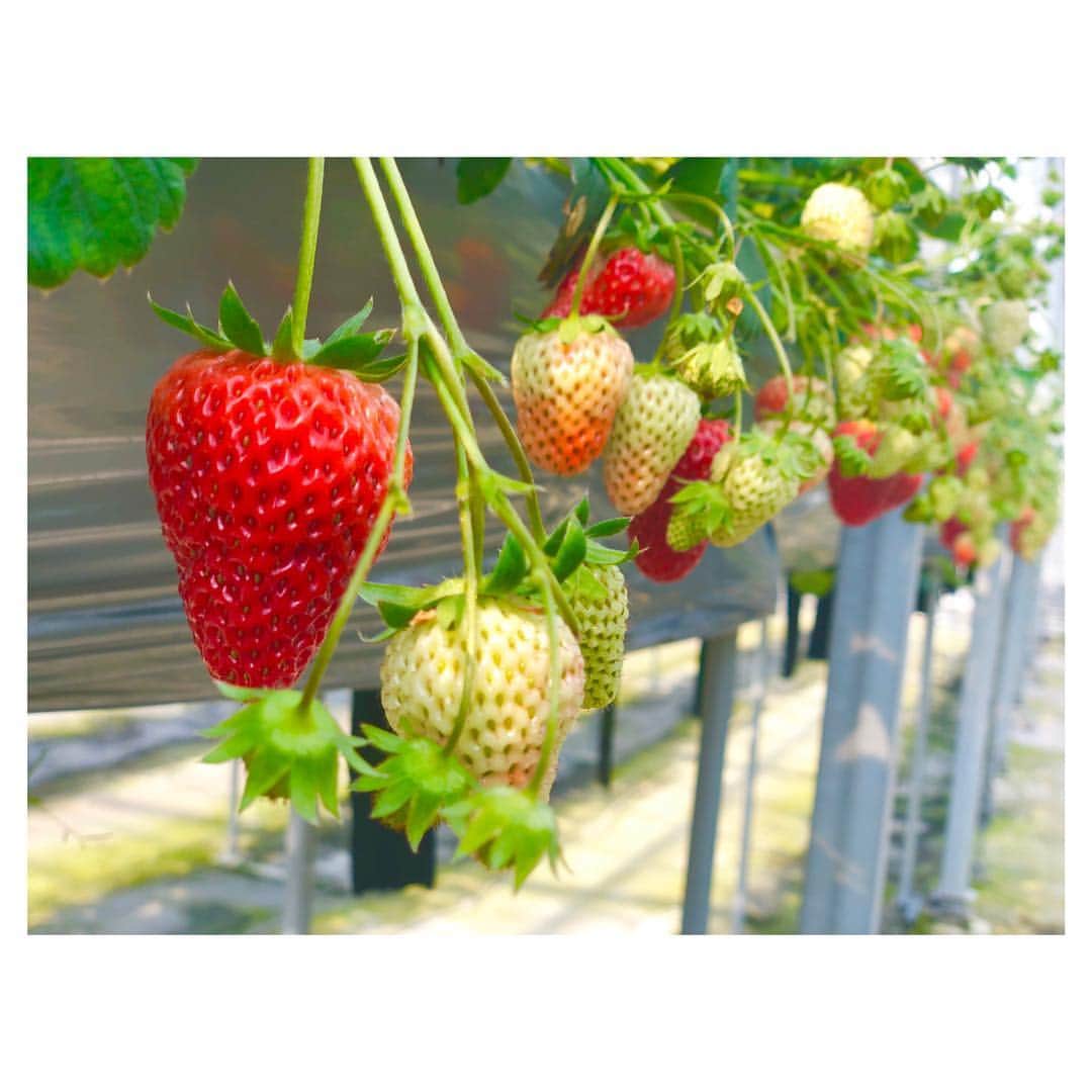 西木恵美里のグルメインスタ