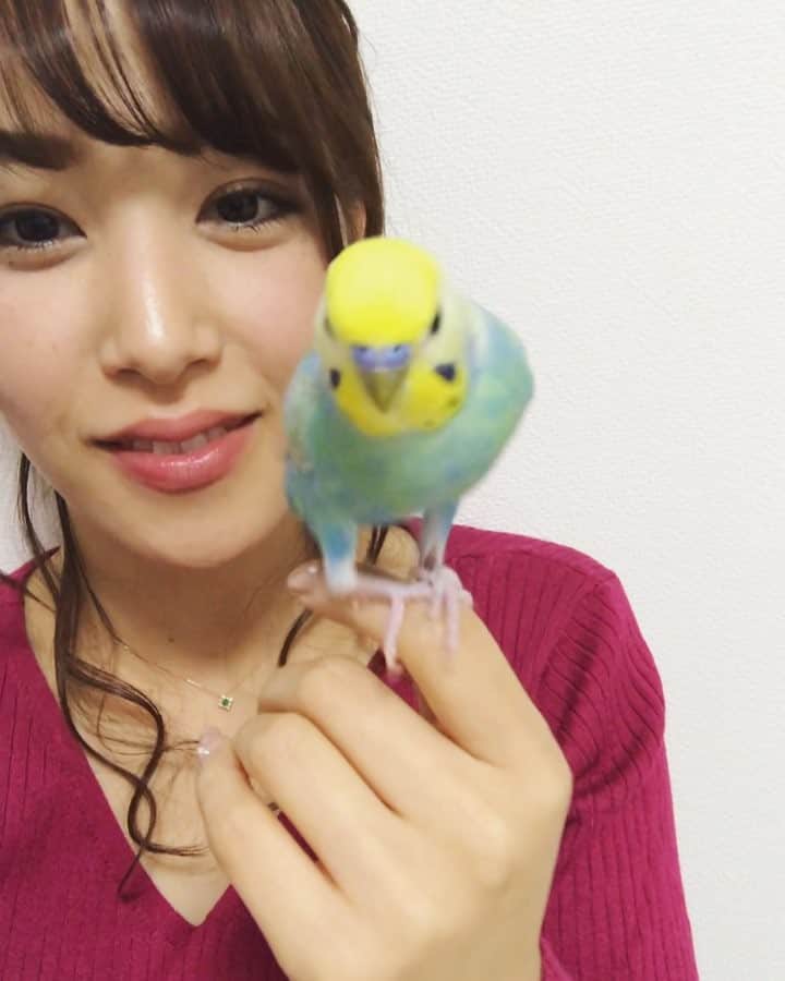 鷲見玲奈のインスタグラム