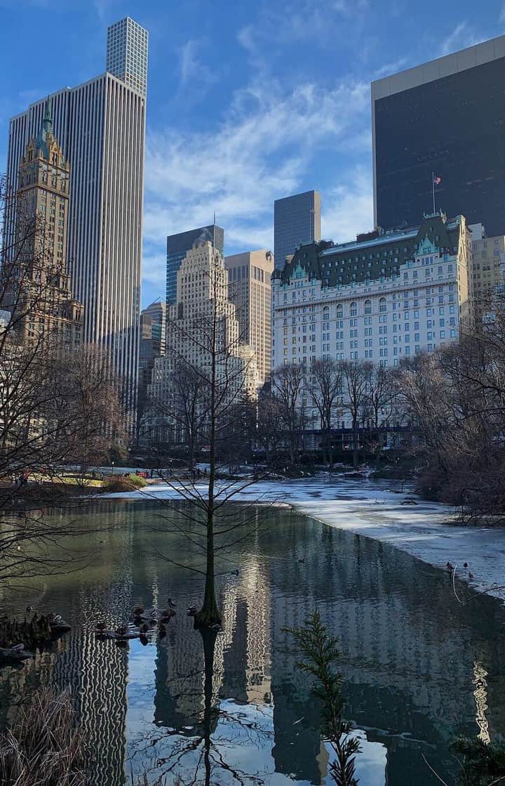 New Yorkのインスタグラム：「Quick walk along The Pond to Gapstow Bridge. @newyork shares some of his favorite locations to hang out, shoot photos or just chill.」