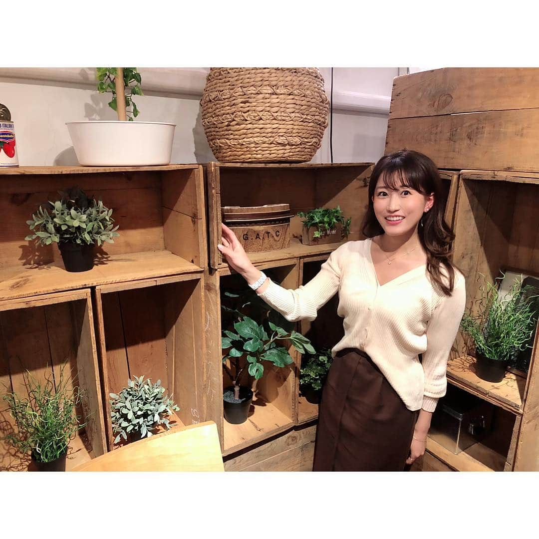 津田麻莉奈さんのインスタグラム写真 - (津田麻莉奈Instagram)「お仕事で行ったスタジオの雰囲気が可愛かった☺️🌱✨ ⁑ #スタジオ #インテリア #interior #interiordesign  #outfitoftheday #ootd  #私服 #コーデ #今日の服  #まりなる #津田麻莉奈」2月19日 17時34分 - tsudamarinal