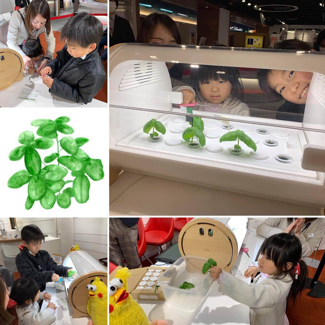 foopのインスタグラム