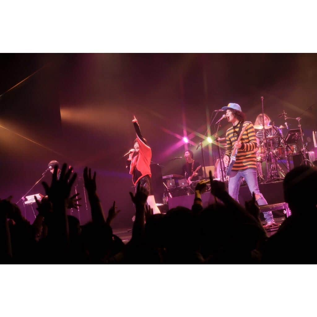 ShiggyJr.さんのインスタグラム写真 - (ShiggyJr.Instagram)「<Shiggy Jr. LIVE TOUR 2019 -DANCE TO THE MUSIC->FINAL@EX THEATER ROPPONGI!!(ス) 📷photo by 田中聖太郎写真事務所 #DTTMtour #final #190217 #extheaterroppongi  #thankyou」2月19日 18時54分 - shiggy_jr