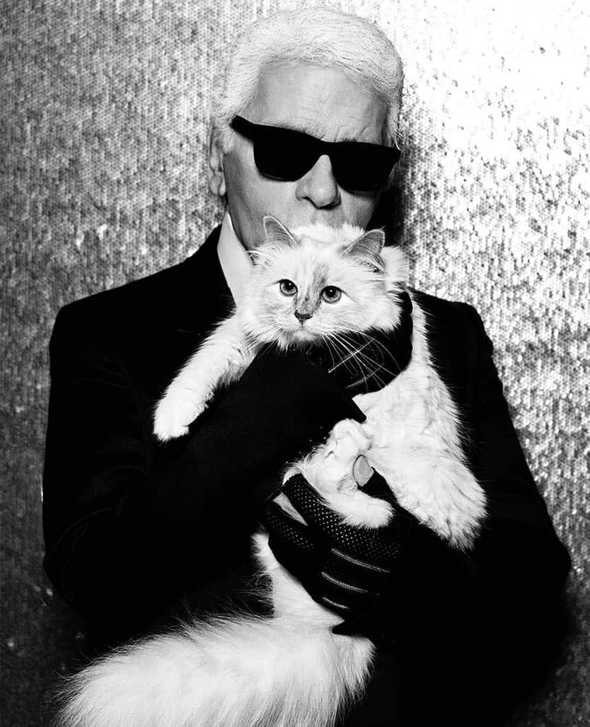 コスチュームナショナルのインスタグラム：「Rest in Peace #KarlLagerfeld We will miss you.」