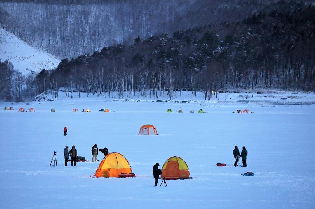 半田悠人さんのインスタグラム写真 - (半田悠人Instagram)「岩手2日目には念願のワカサギ釣り！ 氷上でそのまま天ぷらにしていただきました、これまた最高でした。 早朝から沢山の釣り人達が準備をしていて、氷上のテントの光がまた綺麗で、時折凍った空気がキラキラしたその先の景色も、美しかった。 つららで遊んだのも久しぶりだったし、雪ってほんとテンション上がるぜ！な神奈川育ち炸裂でした。 愉しむぜ、より、愉しませてもらったぜ！の方が大きかった旅行でした。(わんこそばはキツかった) 行くぜ、東北。冬のごほうび 公式サイトに 動画と旅記事がアップされていますので、ぜひ見てください。 @ikuzetohoku_official #わかさぎ#早起き楽しい#耳取れる寸前 #わんこそば111杯 #行くぜ東北 #冬のごほうび #PR #JR東日本 #岩手 #愉しむぜ岩手」2月19日 22時25分 - yutohanda