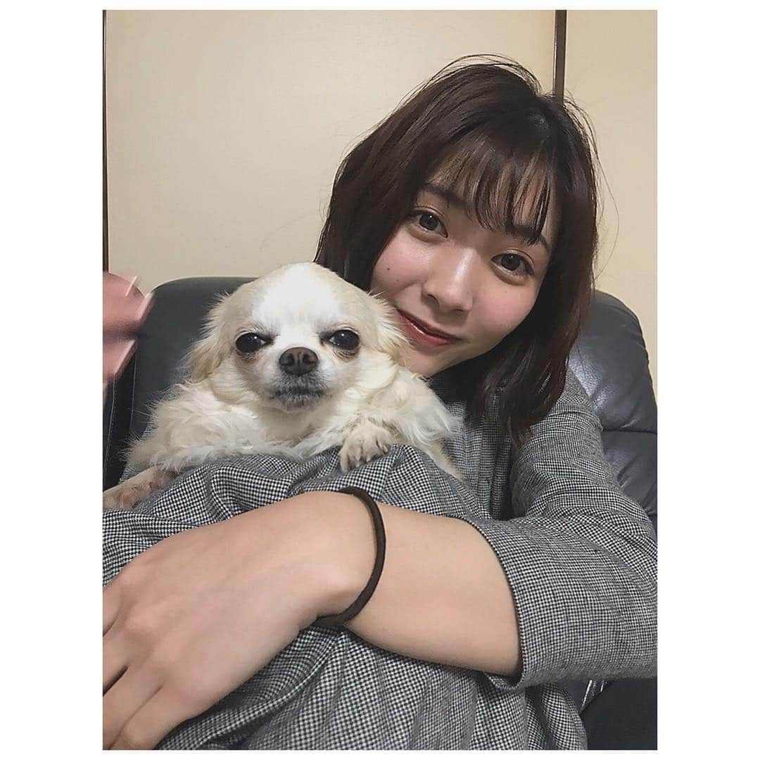 伊藤梨沙子さんのインスタグラム写真 - (伊藤梨沙子Instagram)「私ごとですが 2月20日で23歳になりました！ 悔いのないように、楽しんで、あまり体調を崩さないように 1日1日を大切に過ごせたらなと思います！ こんなわたしですがこれからもよろしくお願いします😌」2月20日 2時06分 - ito_risako