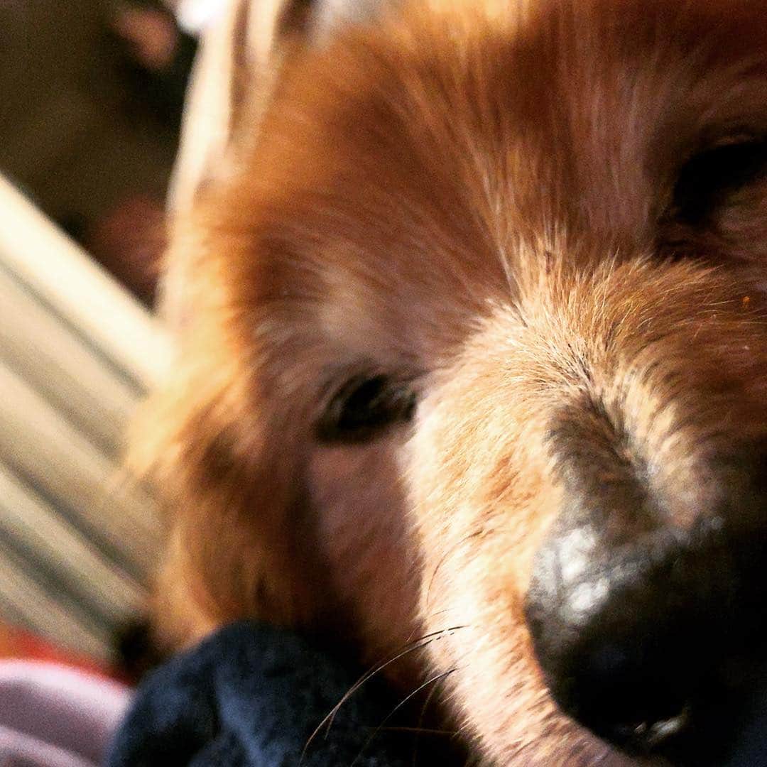 孝介のインスタグラム