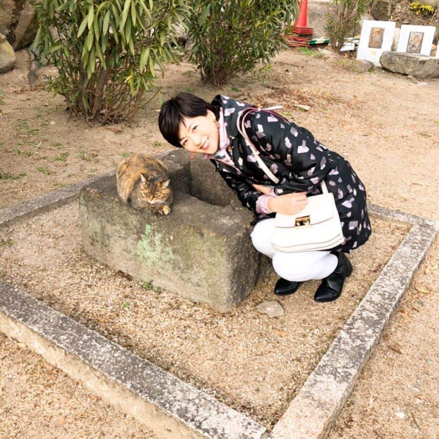 中山忍さんのインスタグラム写真 - (中山忍Instagram)「ニャー😻 おとな旅あるき旅✨ 尾道にてネコに癒される💕 広島・尾道〜呉 60分スペシャル！ 2019年2月23日(土)18:30〜 @gherardini_japan  #ゲラルディーニ #テレビ大阪 #おとな旅あるき旅」2月20日 10時48分 - _shinobu_nakayama_