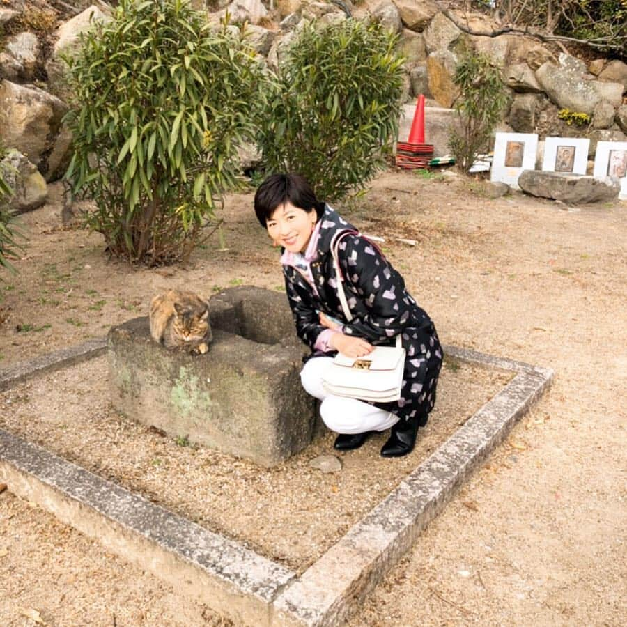 中山忍さんのインスタグラム写真 - (中山忍Instagram)「ニャー😻 おとな旅あるき旅✨ 尾道にてネコに癒される💕 広島・尾道〜呉 60分スペシャル！ 2019年2月23日(土)18:30〜 @gherardini_japan  #ゲラルディーニ #テレビ大阪 #おとな旅あるき旅」2月20日 10時48分 - _shinobu_nakayama_