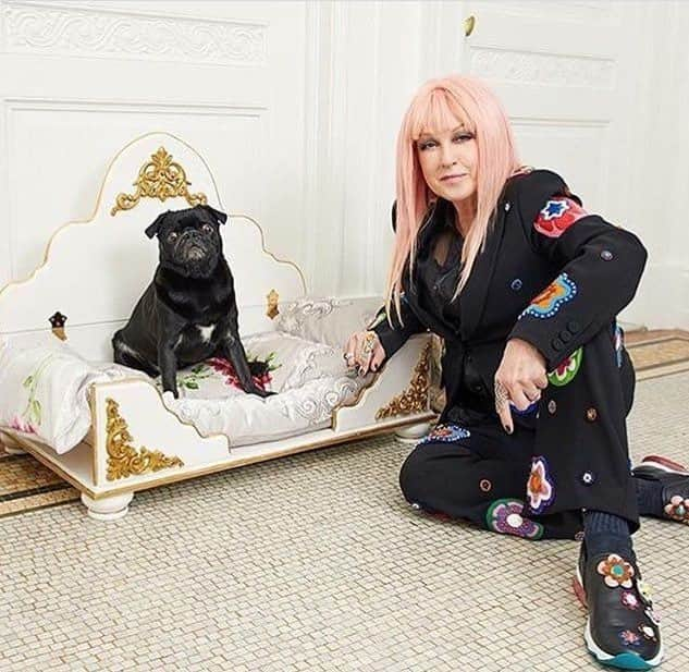 シンディ・ローパーさんのインスタグラム写真 - (シンディ・ローパーInstagram)「#LoveYourPetDay 💕🐶」2月21日 0時40分 - cyndilauper