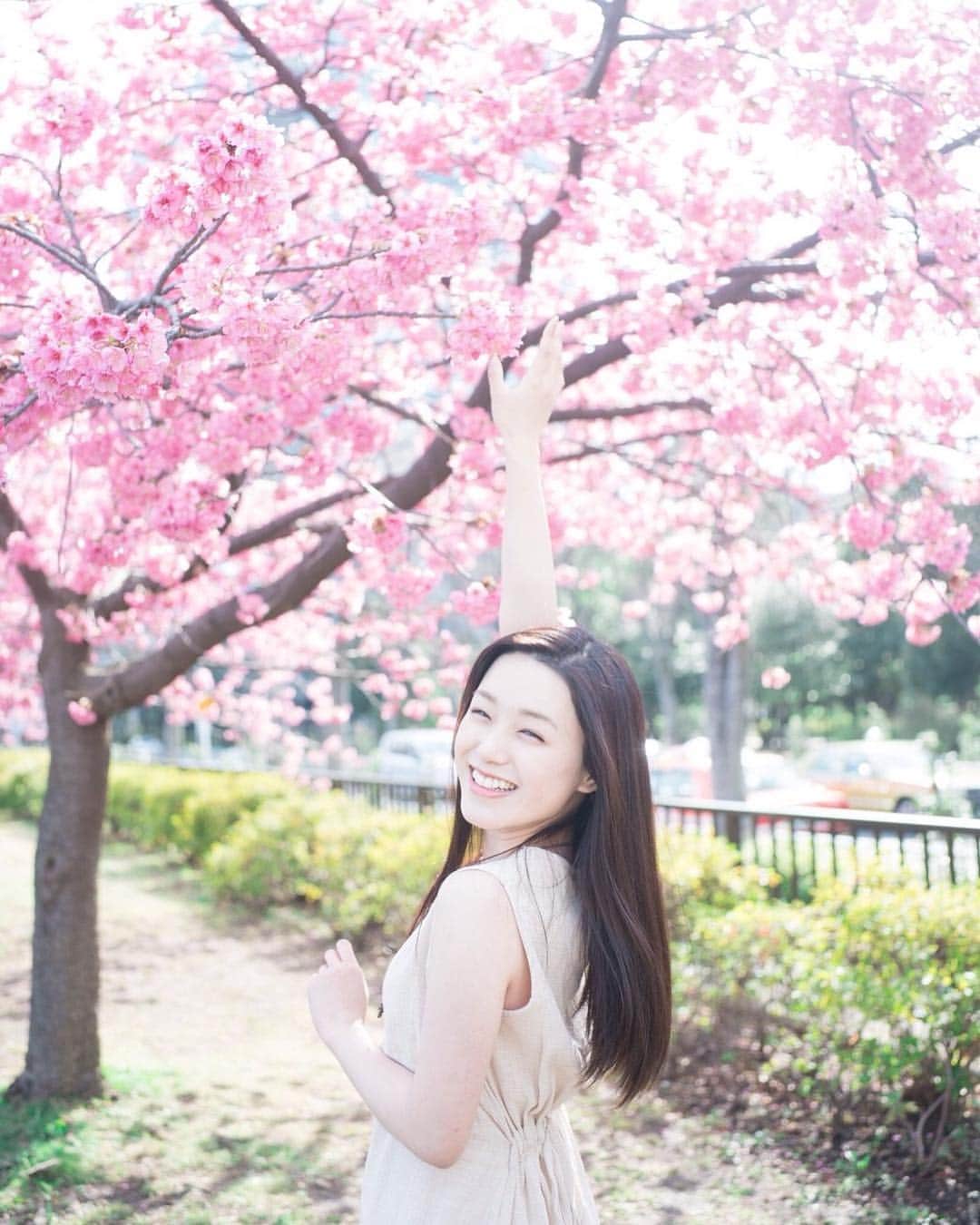 kenta_soyoungさんのインスタグラム写真 - (kenta_soyoungInstagram)「Kawatu Sakura. . . . . . . 世間は河津桜が満開に向かってるそうですが、僕は杉さんのアレで絶不調です。. . . . model: @komaki_nana」2月20日 20時40分 - kenta_soyoung