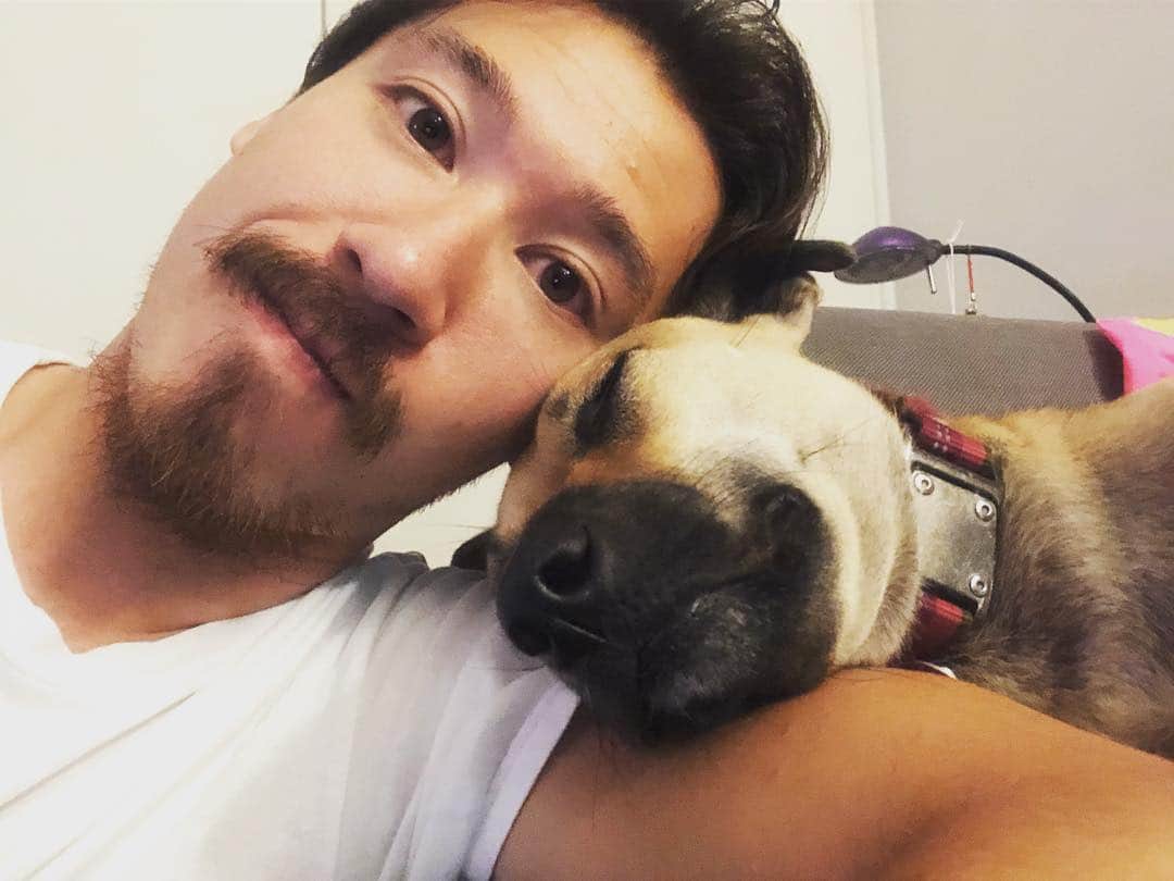 クリス・リードのインスタグラム：「#nationalloveyourpetday #adorable #🐶❤️」