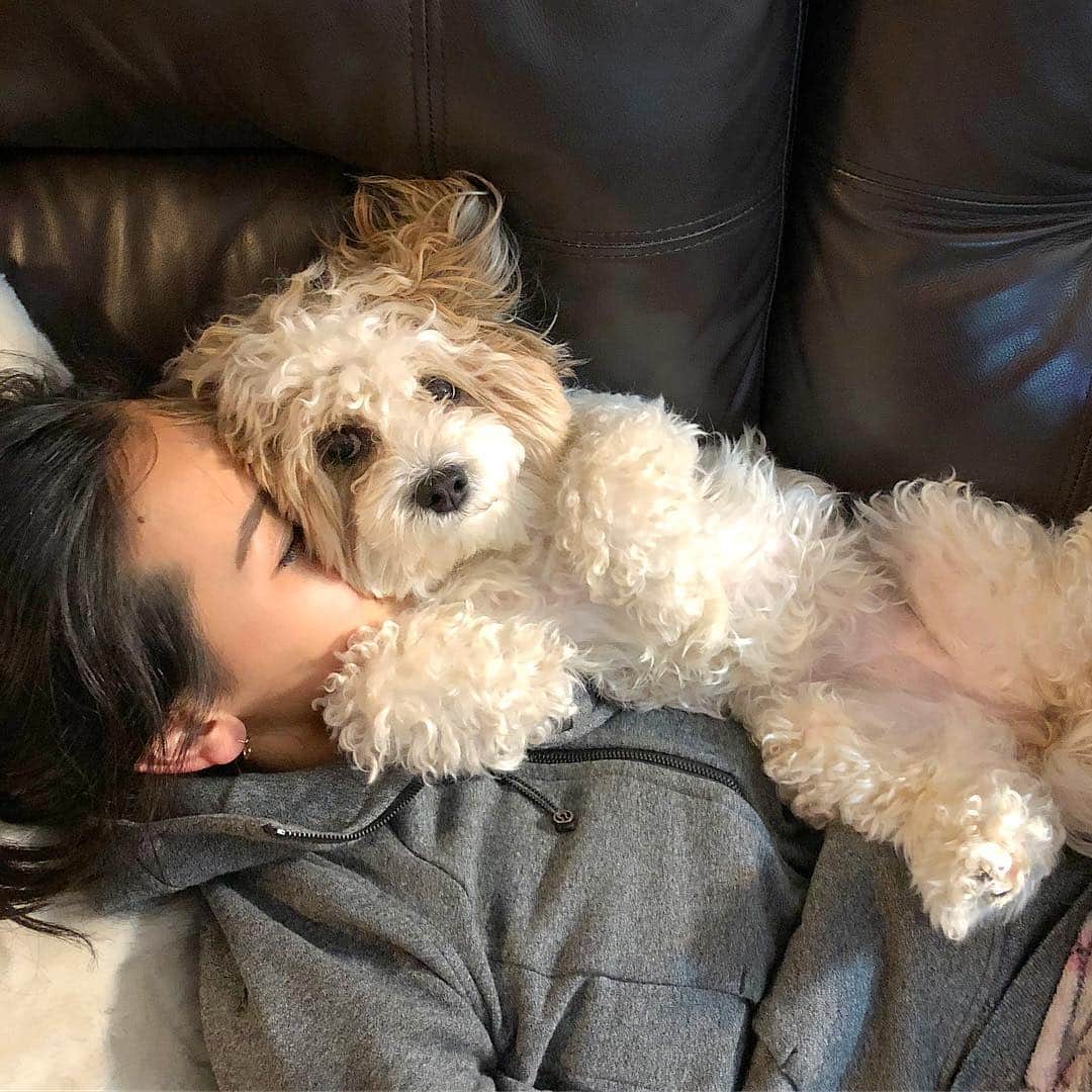 フェリシア・ザンのインスタグラム：「Happy #loveyourpetday today and everyday 🐶❤️ thanks Peanut for walking all over me when I’m napping just to find a spot to snuggle with me #throwback . . . . . . . . . . . . #love #dog #snugglebuddy」