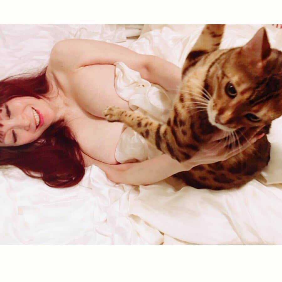 叶姉妹さんのインスタグラム写真 - (叶姉妹Instagram)「さわりごこち💖…気持ちいい💋✨✨ ファビュラスな姉が溺愛しております ベンガルキャットの ファビュラス君の肉球… とても癒されますよ。☺️💖 さわりごこちが 言葉ではいいあらわせない すごく気持ちいいですよ。😚💖 2/22は猫の日ですね。😸💓 #ベンガルキャット #bengalcat #猫 #cat #猫の日 #ジョルノ #ジョジョの奇妙な冒険 #黄金の風 #amazing #heavenly #heaven #fabulous #叶姉妹 #heaven #happy #ファビュラス #angel #宇宙 #コミケ #叶 #癒し #マシュマロおっぱい #jojo #ジョジョ#peaceful #至福 #幸運 #天使 #女神 #愛するあなたへ」2月21日 11時49分 - kano_sisters007