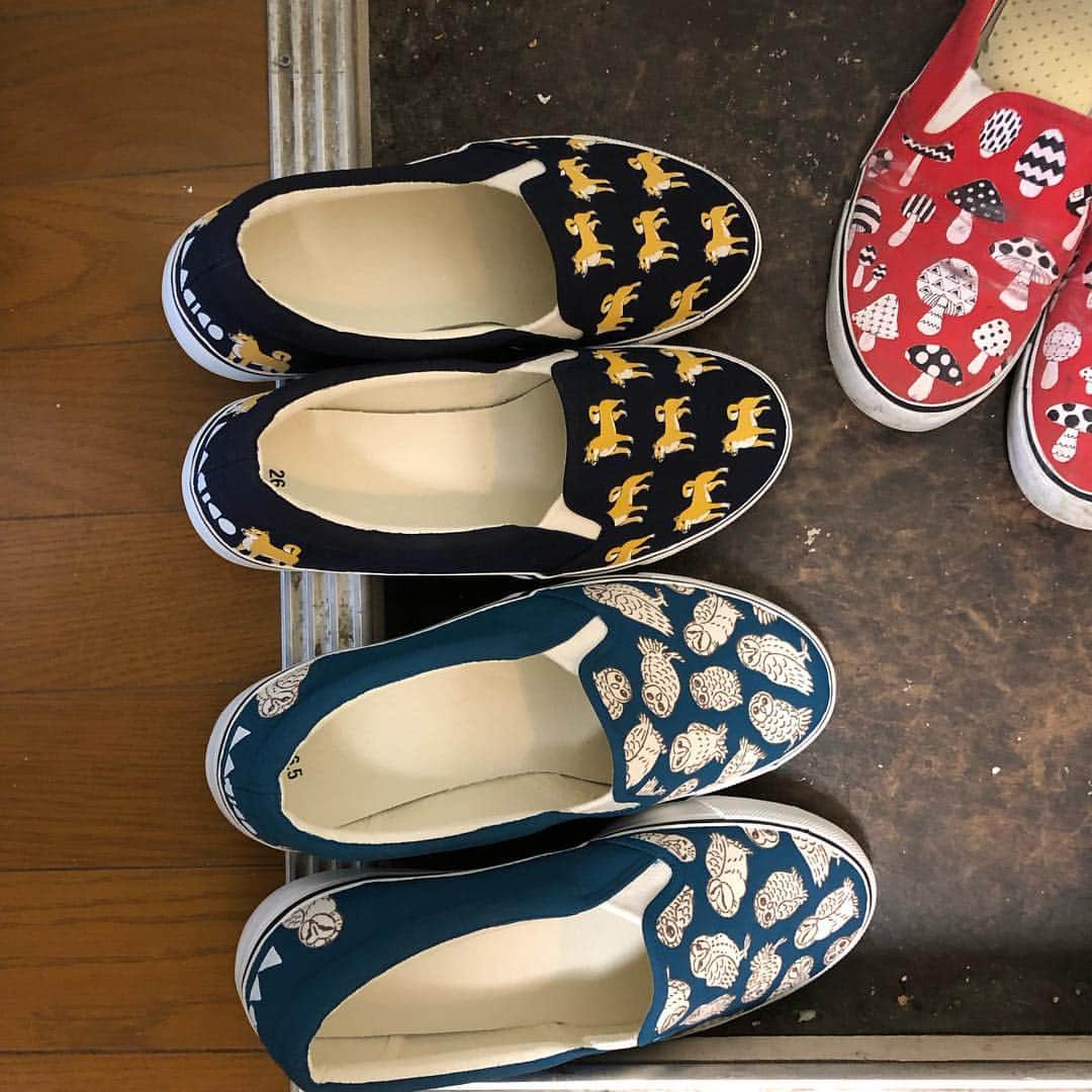 松原タニシさんのインスタグラム写真 - (松原タニシInstagram)「新しい靴が届いた！ #lacico #スリッポン」2月21日 19時31分 - tanishi_m