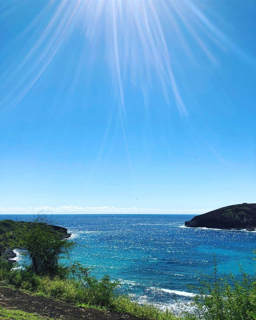 市橋麗里シェーンさんのインスタグラム写真 - (市橋麗里シェーンInstagram)「ハワイ研修4日目✈️ めちゃくちゃ晴れた☀️ ハナウマ湾にダイビングに来たけど、海が綺麗すぎて潜らなくでも魚が見える🐠  #これでも研修で来てます  #hawaii #hanaumabay」2月21日 20時46分 - shli1102