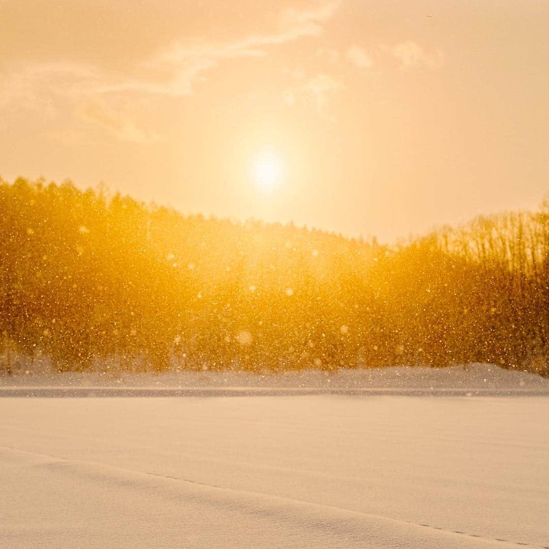 濱田英明のインスタグラム：「Hokkaido, Japan, 2019 #pentax67」