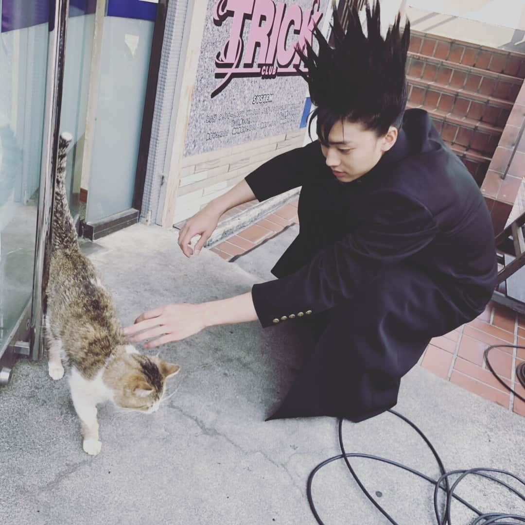 日本テレビ「今日から俺は‼︎」さんのインスタグラム写真 - (日本テレビ「今日から俺は‼︎」Instagram)「#猫の日 ですってよ。にゃー。 #今日俺dvd4月24日発売 ですってよ。にや。  #今日から俺は #今日俺 #伊藤健太郎 #清野菜名」2月22日 5時35分 - kyoukaraoreha_ntv