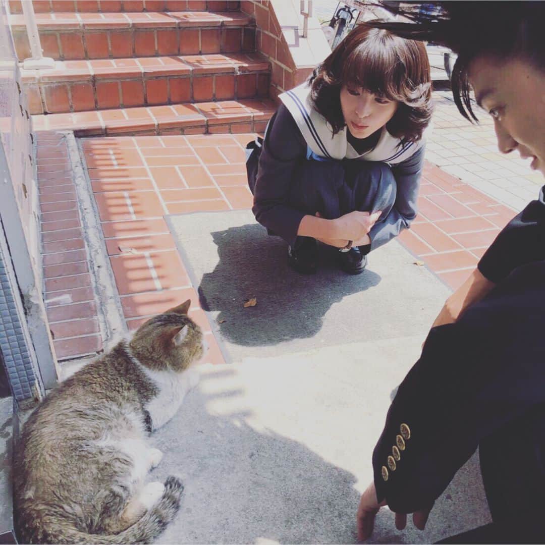 日本テレビ「今日から俺は‼︎」さんのインスタグラム写真 - (日本テレビ「今日から俺は‼︎」Instagram)「#猫の日 ですってよ。にゃー。 #今日俺dvd4月24日発売 ですってよ。にや。  #今日から俺は #今日俺 #伊藤健太郎 #清野菜名」2月22日 5時35分 - kyoukaraoreha_ntv