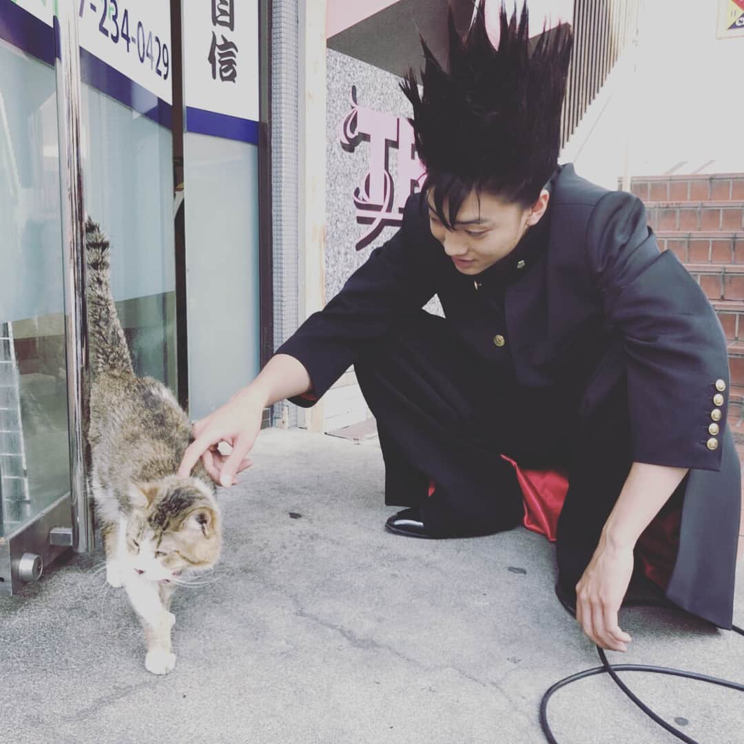 日本テレビ「今日から俺は‼︎」さんのインスタグラム写真 - (日本テレビ「今日から俺は‼︎」Instagram)「#猫の日 ですってよ。にゃー。 #今日俺dvd4月24日発売 ですってよ。にや。  #今日から俺は #今日俺 #伊藤健太郎 #清野菜名」2月22日 5時35分 - kyoukaraoreha_ntv