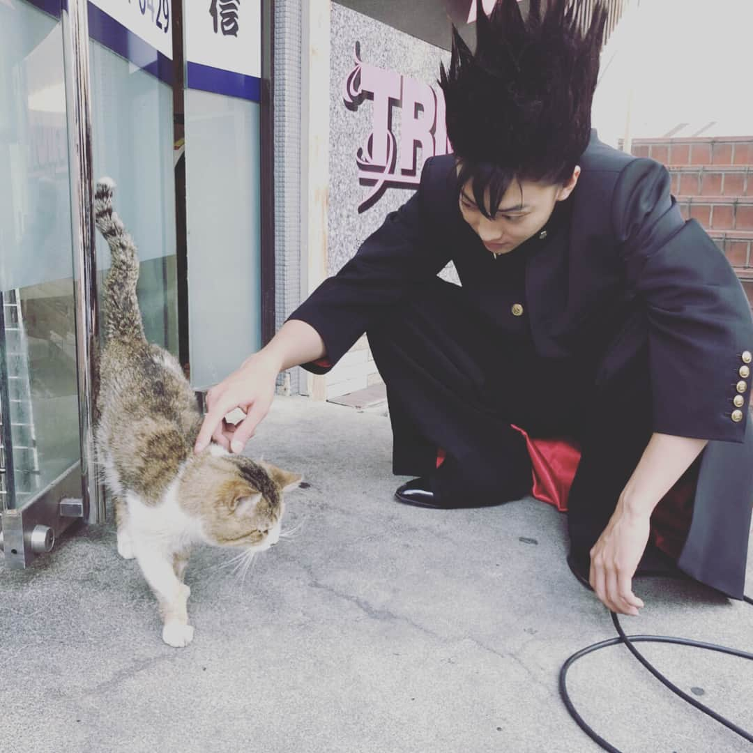 日本テレビ「今日から俺は‼︎」さんのインスタグラム写真 - (日本テレビ「今日から俺は‼︎」Instagram)「#猫の日 ですってよ。にゃー。 #今日俺dvd4月24日発売 ですってよ。にや。  #今日から俺は #今日俺 #伊藤健太郎 #清野菜名」2月22日 5時35分 - kyoukaraoreha_ntv