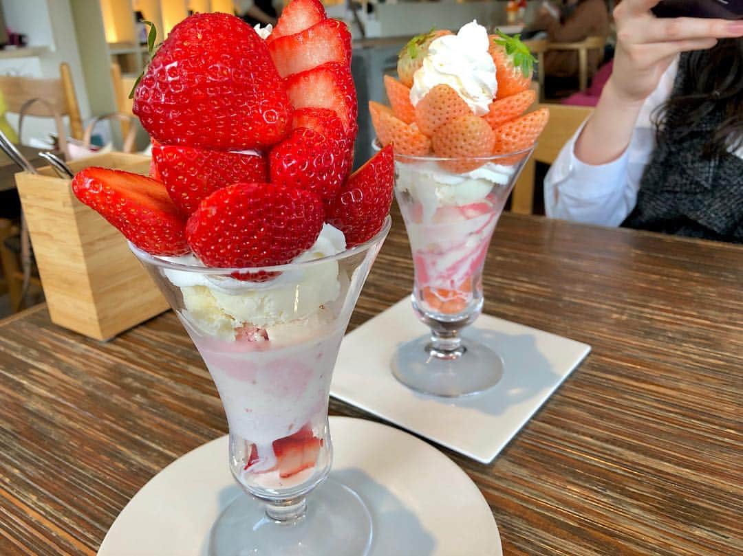 深川舞子のインスタグラム：「昨日しなもんと行ったパフェ屋さん！ 「PRINCE of the FRUIT」！ ＊ いちごが甘くて中のジェラートまで美味しくて一瞬で食べ終わりました笑笑また行きたいな😊 ＊ ＊ #princeofthefruit  #薬院カフェ #strawberry」