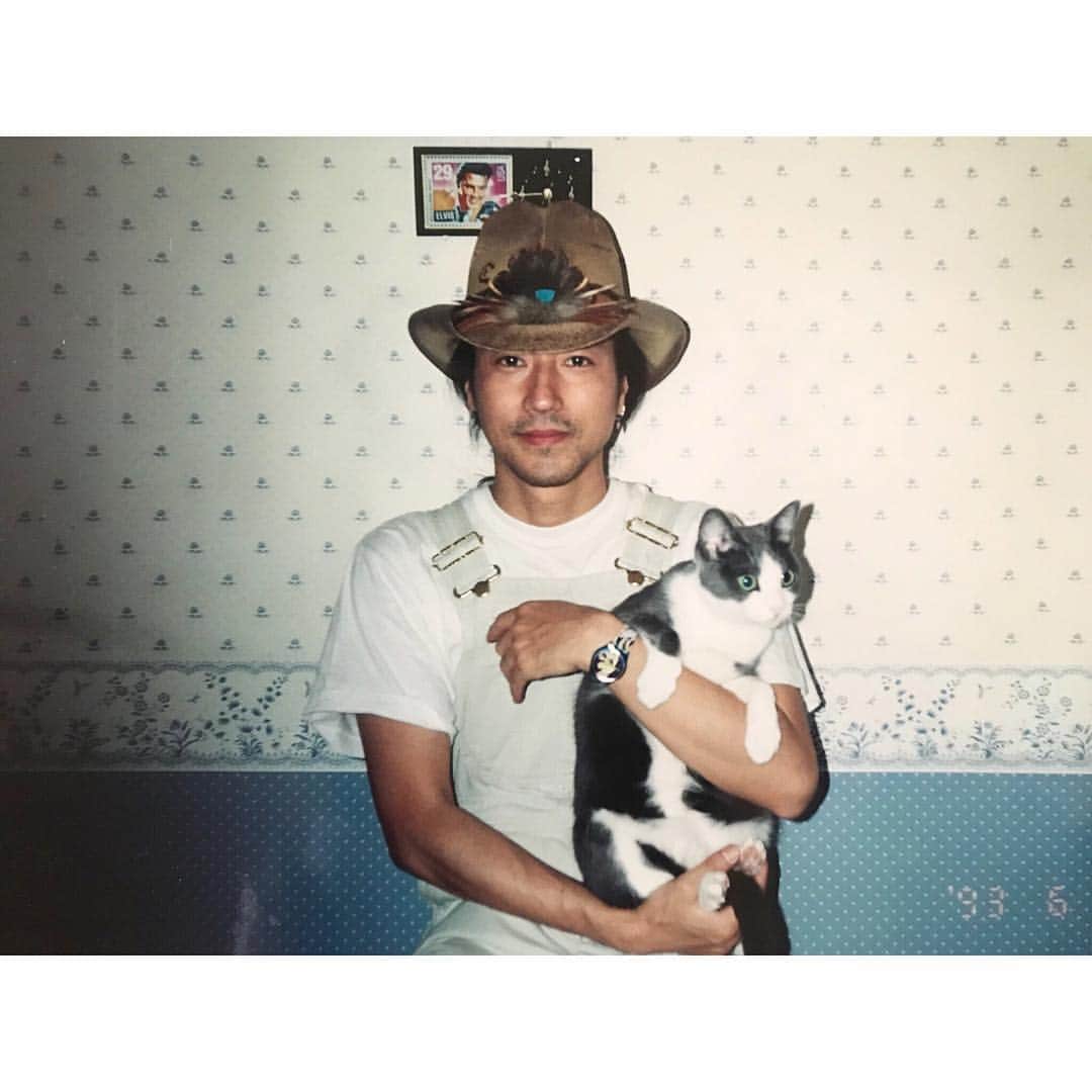 松永俊弥さんのインスタグラム写真 - (松永俊弥Instagram)「猫の日🐈1993年 ・ #にゃんにゃんにゃんの日#猫の日」2月22日 22時51分 - toshiyamatsunaga