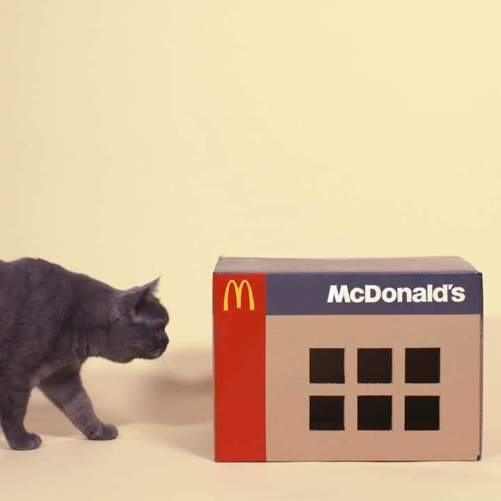 日本マクドナルド公式アカウントです。のインスタグラム：「きょうは #猫の日 🐈🐾 マクドナルドも世界に1つだけの #ニャッピーセット を作ってみました。 2つめは『マクドニャルドハウス』😺 #実際には販売しておりません  #ねこ #にゃんすたぐらむ」