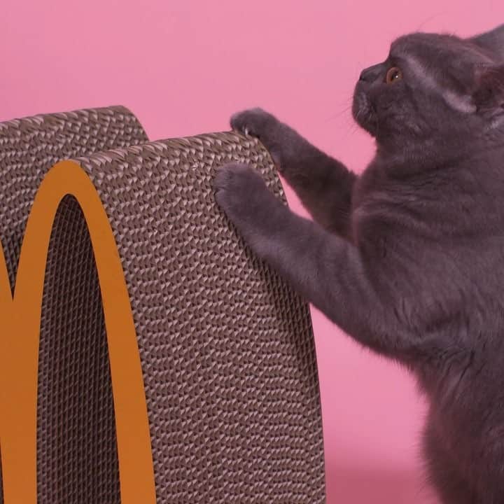 日本マクドナルド公式アカウントです。のインスタグラム：「きょうは #猫の日 🐈🐾 マクドナルドも世界に1つだけの #ニャッピーセット を作ってみました。 3つめは『ニャッピーつめとぎ』✨ #実際には販売しておりません  #ねこ #にゃんすたぐらむ」