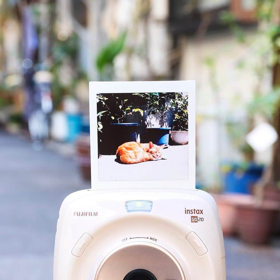 Fujifilm instaxのインスタグラム