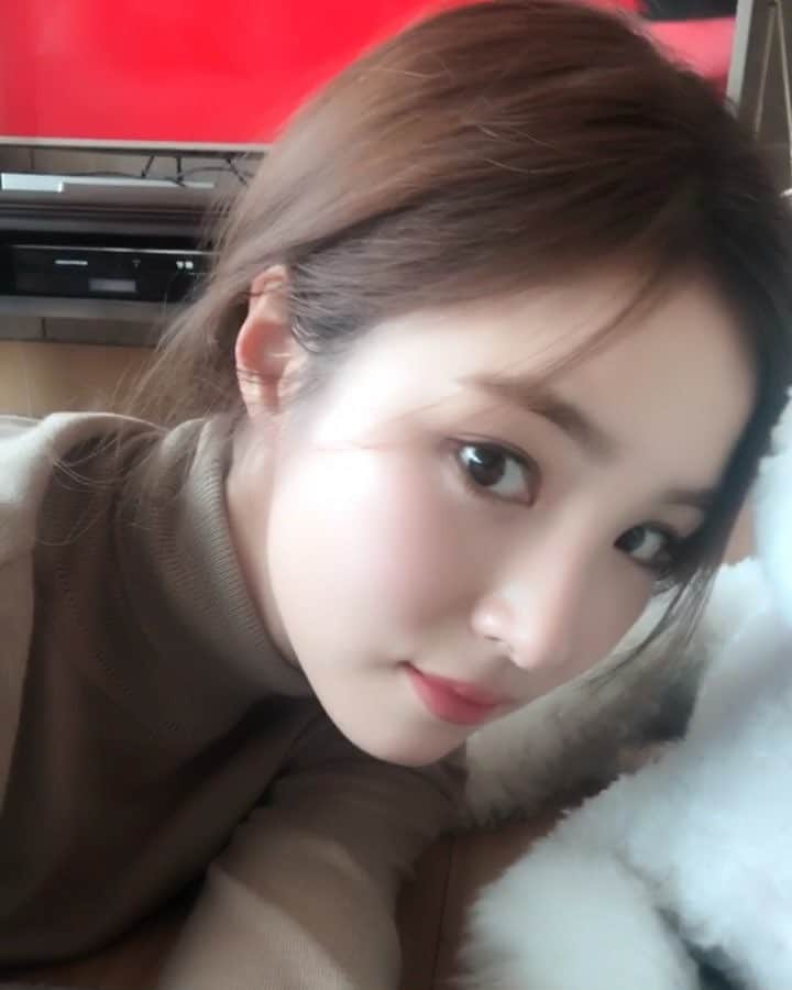 シン・セギョンのインスタグラム：「자동차빵빵🚌🚙#진국이」