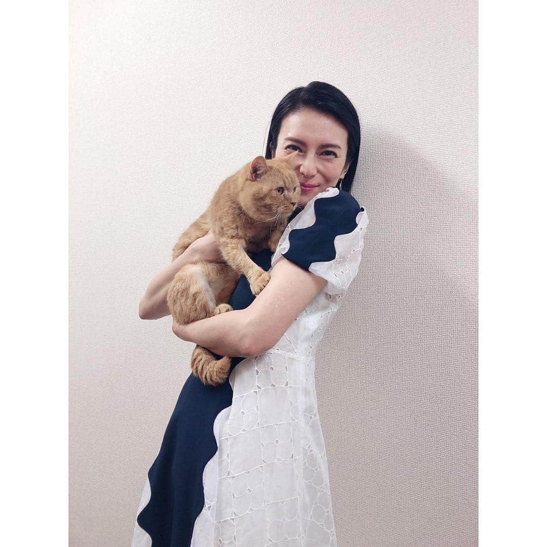 のインスタグラム：「【にゃんにゃん祭り③】 He played "Nyankay"!! His real name is Malonee!! Very gentle guy!!🧔 "にゃんけい" 再会、嬉々💞 #catsofinstagram #cat #にゃんにゃんにゃん #222」