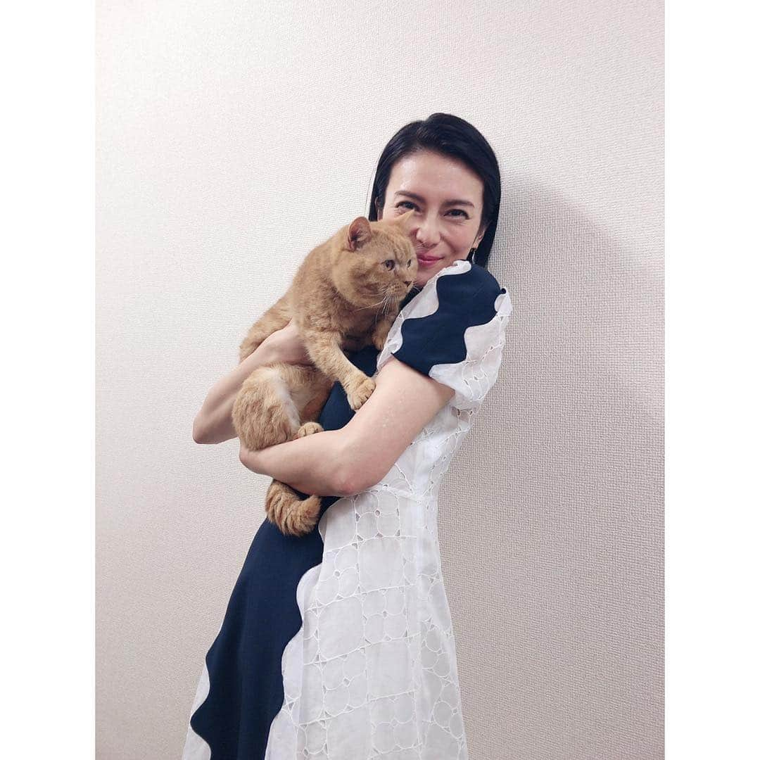 柴咲コウさんのインスタグラム写真 - (柴咲コウInstagram)「【にゃんにゃん祭り③】 He played "Nyankay"!! His real name is Malonee!! Very gentle guy!!🧔 "にゃんけい" 再会、嬉々💞 #catsofinstagram #cat #にゃんにゃんにゃん #222」2月22日 19時34分 - ko_shibasaki