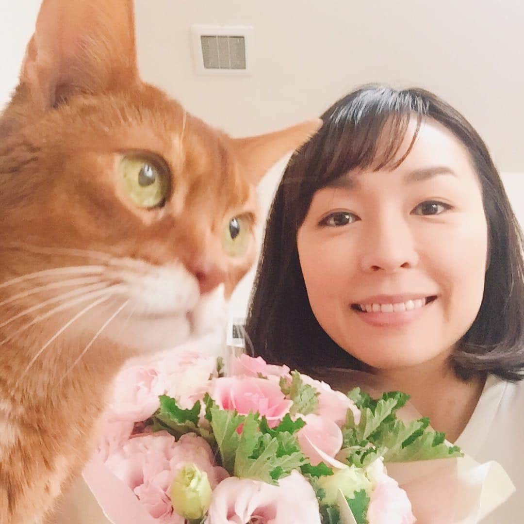 宮川美保さんのインスタグラム写真 - (宮川美保Instagram)「事務所にお花届いてたー！！嬉しい♡ 猫の日生まれです。 #ちゃいかわ #アビシニアン #ねこ部 #猫の日 #ネコの日 #ねこ #誕生日」2月22日 19時39分 - miho.miyagawa