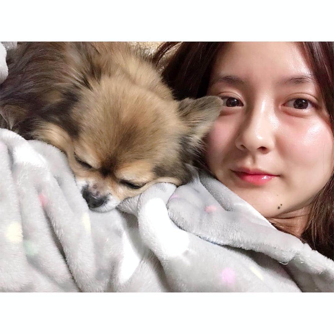 生田佳那のインスタグラム：「そこで寝るん〜〜 ちゃるるん〜〜 #猫の日#に犬」
