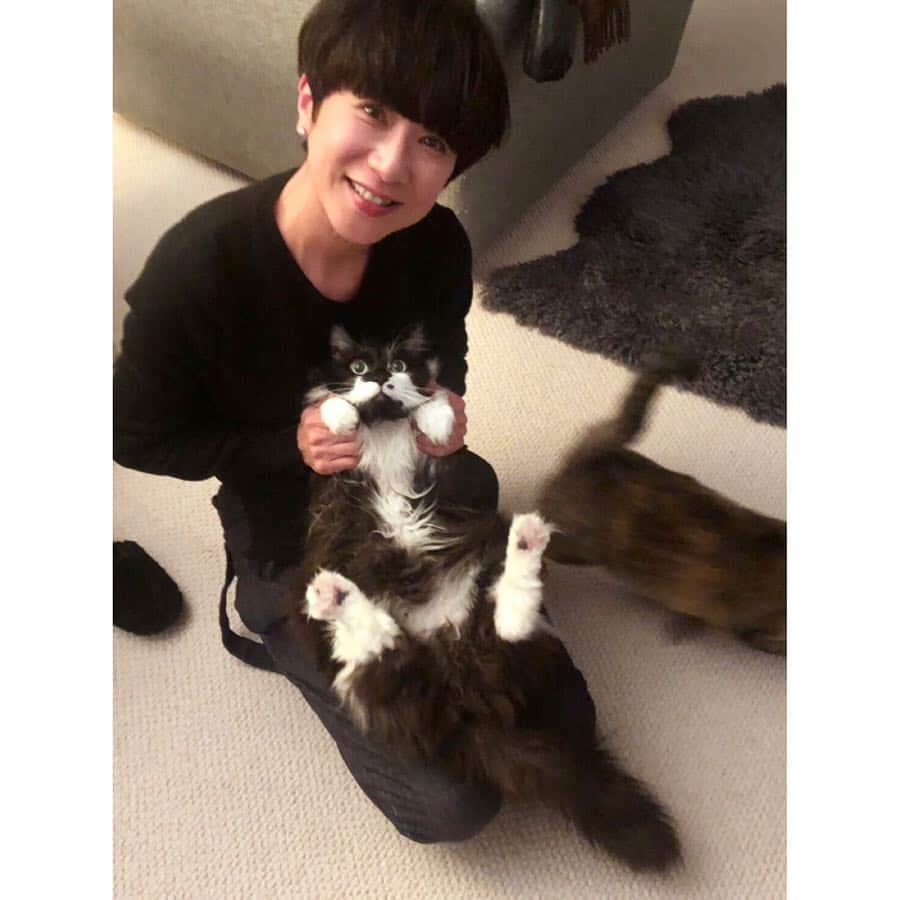 黒田知永子さんのインスタグラム写真 - (黒田知永子Instagram)「猫の日だったなんて！ #cat #猫#ねこ #猫の日 #黒田ごま #黒田むぎ  一部でファンがいるブサむぎ☺︎ #黒田知永子  #chiekokuroda」2月22日 23時37分 - kuroda_chieko