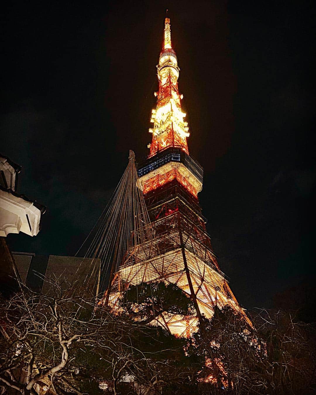 横山みれいのグルメインスタ