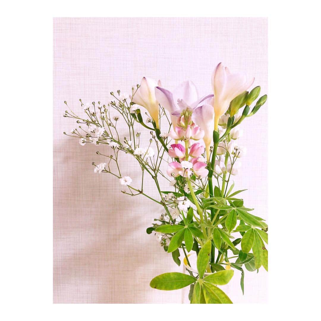 のインスタグラム：「﻿ ﻿ かすみ草、ルピナス、フリージア💐﻿ ﻿ どんなに主張の強い花同士をも﻿ とりもつことができて、﻿ 全体を可憐な優しい雰囲気で包む、﻿ かすみ草。﻿ ﻿ もしかしたら﻿ 一番好きな花かもしれない。﻿ ﻿ こういう﻿ 大きく目立つ訳じゃない﻿ 縁の下の力持ちみたいな、﻿ いぶし銀タイプ。﻿ 好きなんですよね〜。﻿ ﻿ っていう独り言。﻿ ﻿ #いい仕事してますね #かすみ草 #カスミソウ #ルピナス #フリージア #花のある生活」