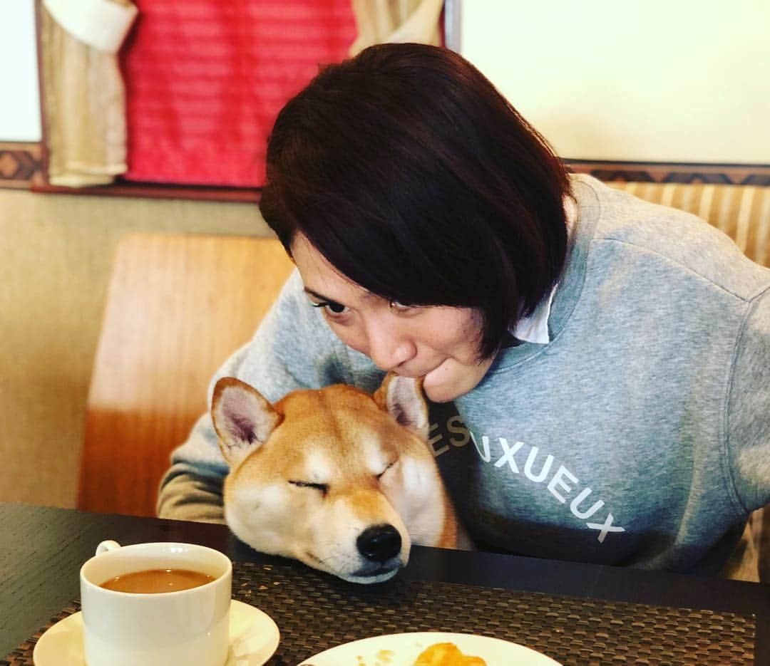 高橋みゆきさんのインスタグラム写真 - (高橋みゆきInstagram)「クラ吉の耳🐶💕パクパク😊笑 #クラ吉 #耳美味い #いつも鼻と耳パクパクしてる #歯では噛んでないよ #唇だよ💋 #可愛い😍 #ランチ」2月23日 13時41分 - shin_miyukichi