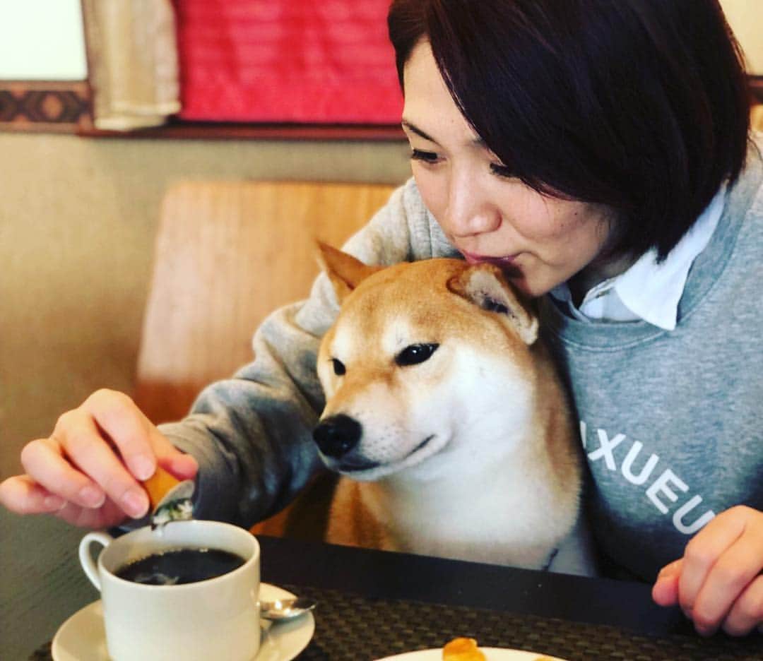 高橋みゆきのインスタグラム：「クラ吉の耳🐶💕パクパク😊笑 #クラ吉 #耳美味い #いつも鼻と耳パクパクしてる #歯では噛んでないよ #唇だよ💋 #可愛い😍 #ランチ」