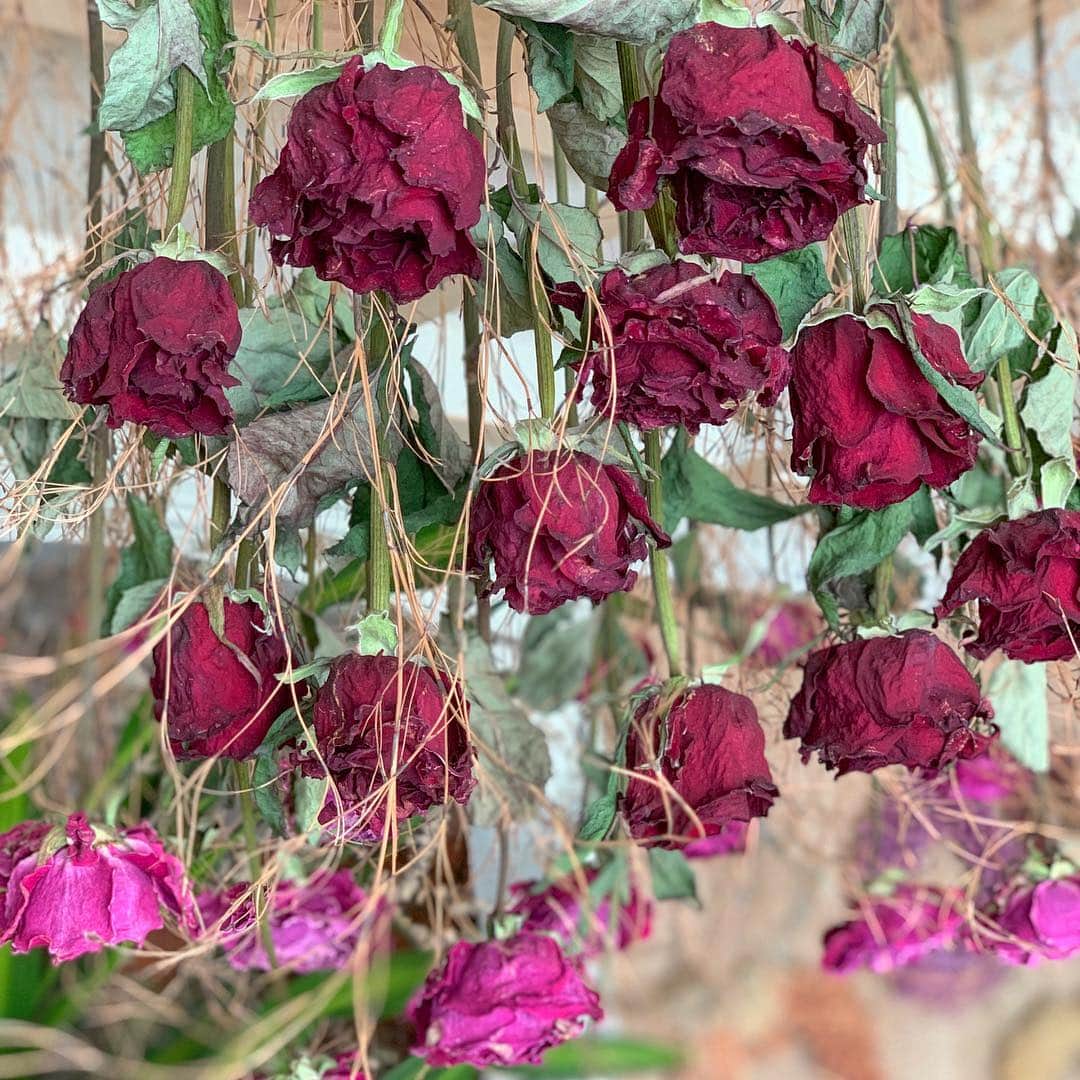 ミンギュのインスタグラム：「🌹」