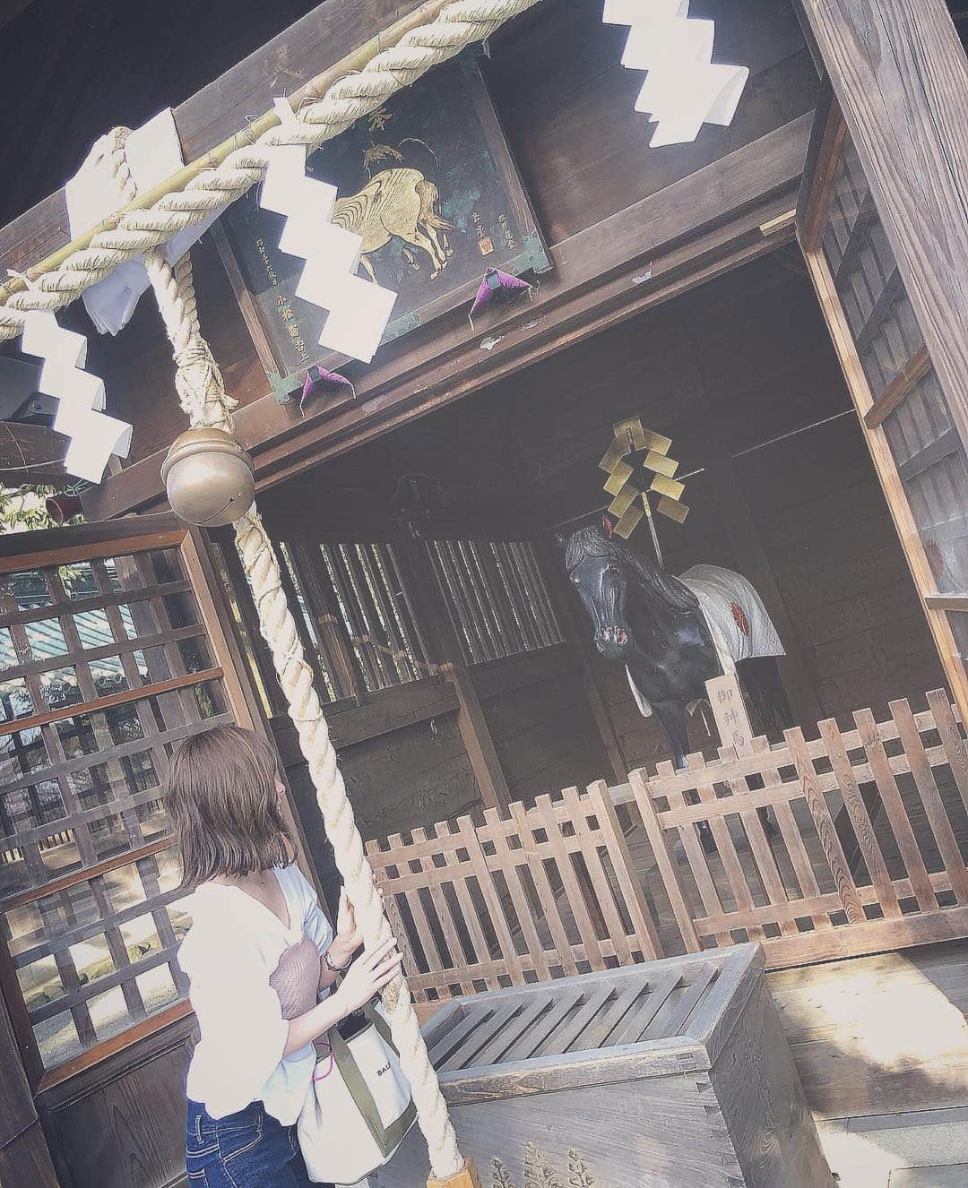 黒澤詩音のインスタグラム：「大学の卒論で参拝をテーマの軸にする程に、実は神社巡り好き⛩。﻿﻿ ﻿﻿ 今度は金木犀の季節に行きたいな。﻿ ﻿ #神馬 #三嶋大社 #静岡 #三島 #伊豆国一宮 #伊豆国総社 #神社 #神社巡り #社寺仏閣 #歴史能力検定 #世界遺産検定﻿﻿ #trip #shizuoka #japan ﻿」