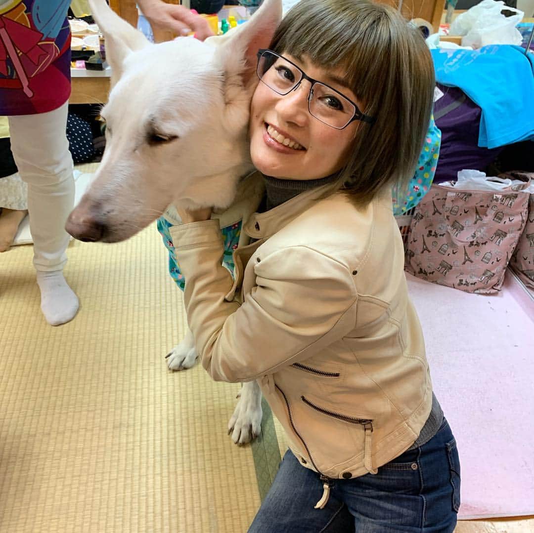 橋本志穂さんのインスタグラム写真 - (橋本志穂Instagram)「#銀座三越劇場で開催の舞台 #「ふたり・で」 を観覧 大好きな2人  #清水よし子 さん #小林綾子 さんが出演してるので、楽しさ倍増です。 盲導犬のスカイの名演技にも感動❣️ 胸にジーンとしみる、ハートウォーミングな舞台を監修したのは #石井ふく子さん。 スカイに会いに楽屋に行ったら その前に石井先生と 大女優の長山藍子さんが❣️ 長山さんは「初めてじゃないわよね」と、過去にご一緒させていただいたことを 覚えてくださってて 感動❣️ おしんの綾子さんと知り合えたのも ピンクの電話のよっちゃんが仲良くしてくれるのも 本当に幸せだなー 盲導犬スカイとも ハグハグしてきました。 あ、でもハーネス着けてるお仕事中には みだりに声をかけたり触ったりしちゃダメなんですって。 舞台では、そういう盲導犬のことや、 ろう者の方とコミュニケーションを取るための手話の勉強もして、 学んで楽しむ舞台でもありました。  明日の日曜までー。 午前11時半からと 午後3時半からの2公演です。」2月24日 1時38分 - shihohashimoto3