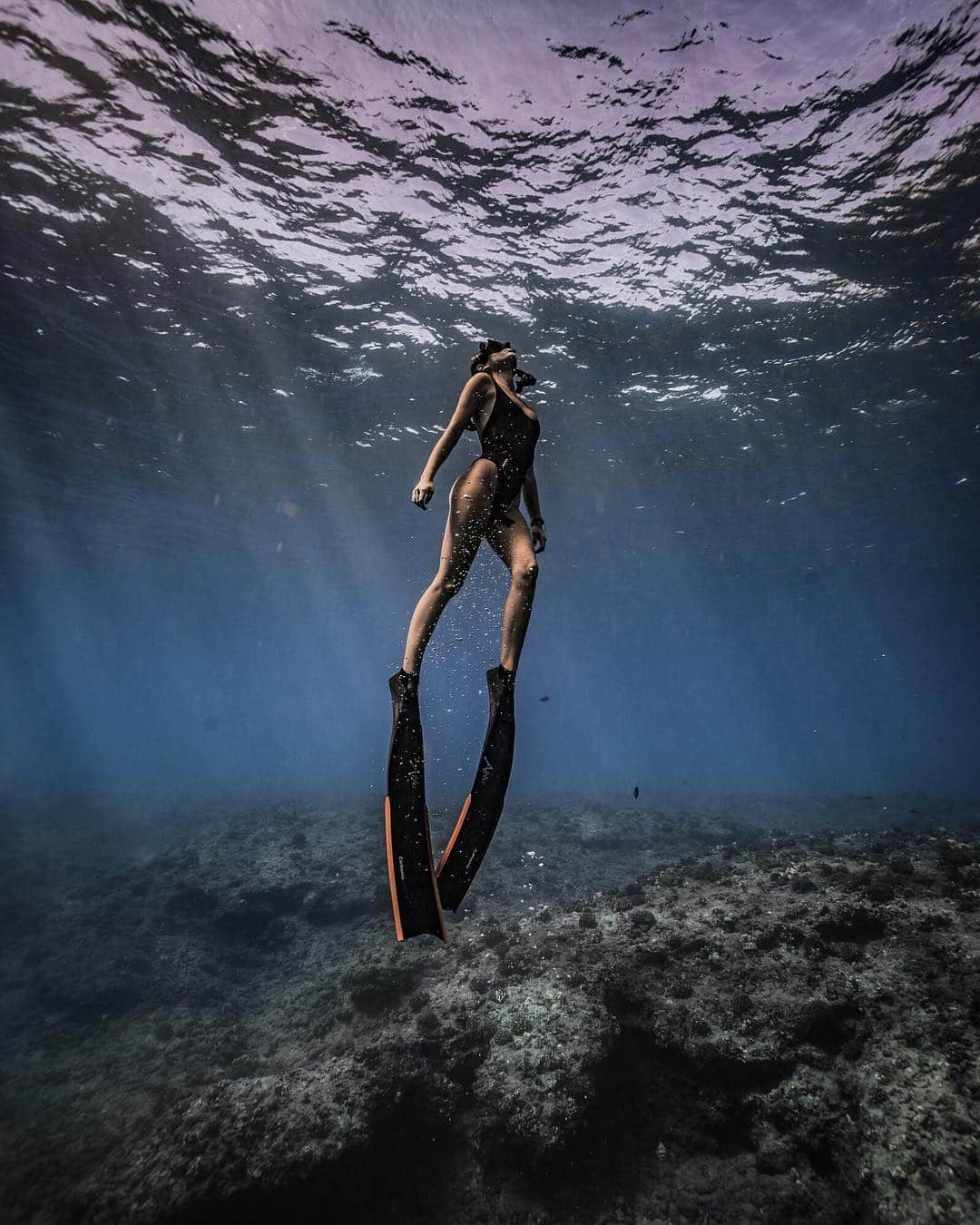 ヴァレンティン・トーマスさんのインスタグラム写真 - (ヴァレンティン・トーマスInstagram)「Leg day.  #freediving #ocean #diving #oceanconservation #legday #fitness 📷 @j.kowitz」2月24日 9時50分 - valentinethomas