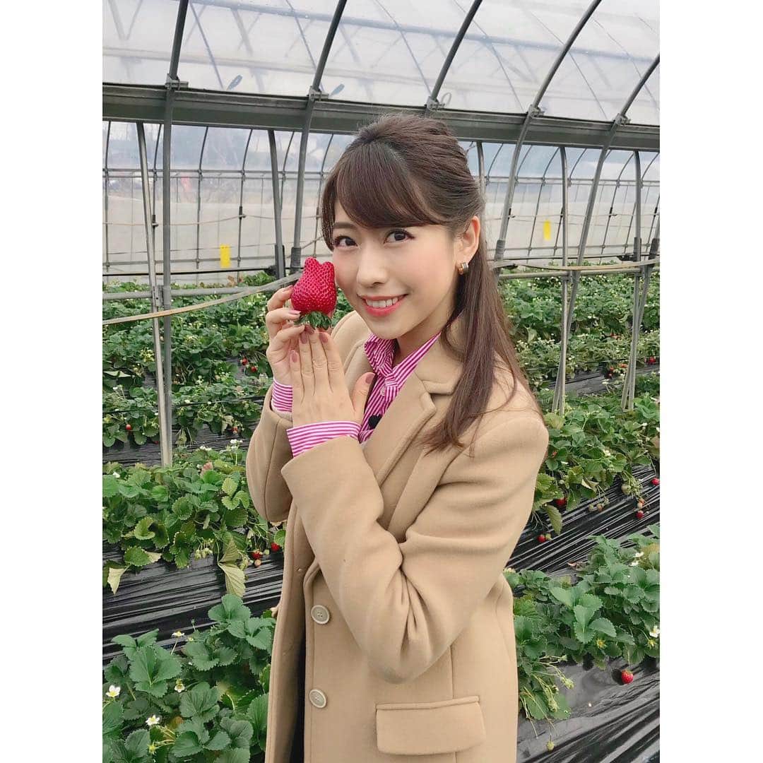 小野寺結衣のグルメインスタ