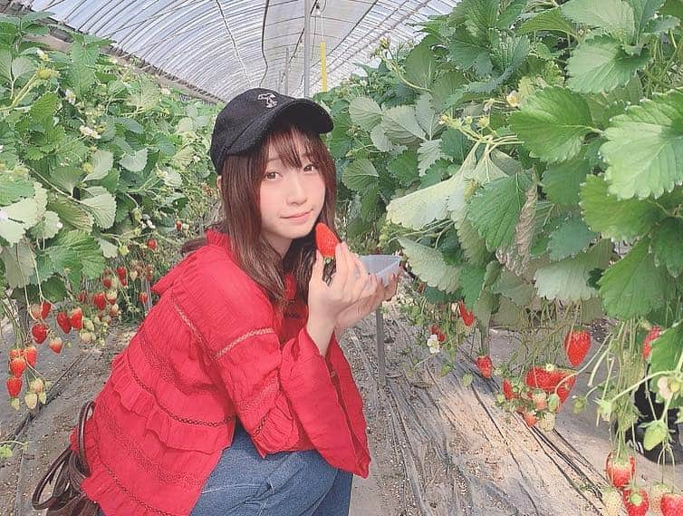 伊織もえさんのインスタグラム写真 - (伊織もえInstagram)「いちご狩り楽しかったなぁ〜🌸 3枚目うしろにきょうかちゃんがいる(⊃=͟͟͞͞🌸=͟͟͞͞🌸＾o＾)⊃=͟͟͞͞🌸=͟͟͞͞🌸=͟͟͞͞🌸=͟͟͞🌸」2月24日 20時59分 - moe_five