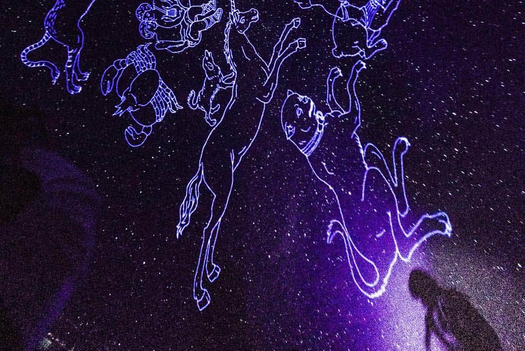 yucat（加藤有加利）さんのインスタグラム写真 - (yucat（加藤有加利）Instagram)「PARALLEL LIVE vol.14〜月夜ノ契約〜 2019.2.23 @はまぎんこども宇宙科学館 宇宙劇場 ・ プラネタリウムワンマンライブ 逢いに来てくださった皆様ありがとうございました！！ ストーリー仕立てでお届けした宇宙ノ旅🚀 楽しんでいただけましたか？ はまぎんこども宇宙科学館さんの全面協力で、ライブに合わせて7億個の星や太陽系などの宇宙に存在するモノを駆使して映像を作って下さり、この日限りのyucatにしか出来ないライブをお届けすることが出来ました。 ・ 時間の無い中、めちゃくちゃ頑張ってくれたスタッフさんやメンバーはもちろん、今回の場所はみんなの協力なくして出来ない場所で、お願いごとたくさんあって申し訳なかったけど💦 それらをやり遂げてくれちゃうお客様に感謝です。ライブを一緒に作って下さりありがとうございました！！ ・ 最初に映っていた夜空は2月23日の横浜の夜空でした。そこから宇宙ノ果てまで高速ワープしたりまるでアトラクションに乗ってるかのような、自分がまるで動いてるんじゃないかと錯覚するような時があったよね。 宇宙ノ果ては今観測されている星たちを集めるとリボンの形をしていたね。ロマンだな〜 高速移動も酔わないギリギリのラインを攻めてもらったり、尋常じゃない大きさの月もみんなから笑いが起きないギリギリのラインを考えたり、太陽と月を同居させたり、月食が起きたり、星座が降ってきたり、流れ星があったり、ブラックホールをぐるぐるしたり。惑星をワープしたり…解明されている真実の宇宙とファンタジーを融合させたこの日限りの映像。 ・ 光る衣装もびっくりしてもえて、あの場所で今出来る全部をやりきった実感があります。 私は幸せ者だなって。何度も泣きそうになりました。 みんなは私の光です。ありがとう。 まだまだ旅は続きます。 これからもよろしくお願いします💫 ・ Photo by リリィ ・ ・ 企画・構成・脚本・演出・音楽・Vocal ：yucat Guitar：YASHIRO Keyboard：桑原康輔 Sound Effect＆Manipulator：久保こーじ 音響プランニング&PA：肥田高志（00works） 天文投影 :甲谷（はまぎん子供宇宙科学館） 黒猫 CP（影アナ）：富城まどか Hair & Make：中島愛貴（raftel.inc） スチールカメラマン：リリィ（ririco:ramu） ライブ資料映像撮影&編集：石川二郎 グッズイラスト：kion 物販スタッフ:稲森・佐々木・民田 Record label & FC:UNIVERSAL COLLCTION Artist Manager:堀川和寿（WAVE MASTER INK.） 総監督:荒井宏之 ・ ・ ・ #yucat #ユキャット #加藤有利 #rythem #プラネタリウム #ワンマンライブ #ライブ #はまぎんこども宇宙科学館 #宇宙劇場 #宇宙 #星 #シンガーソングライター #singersongwriter #live #space」2月24日 21時12分 - yucat1031