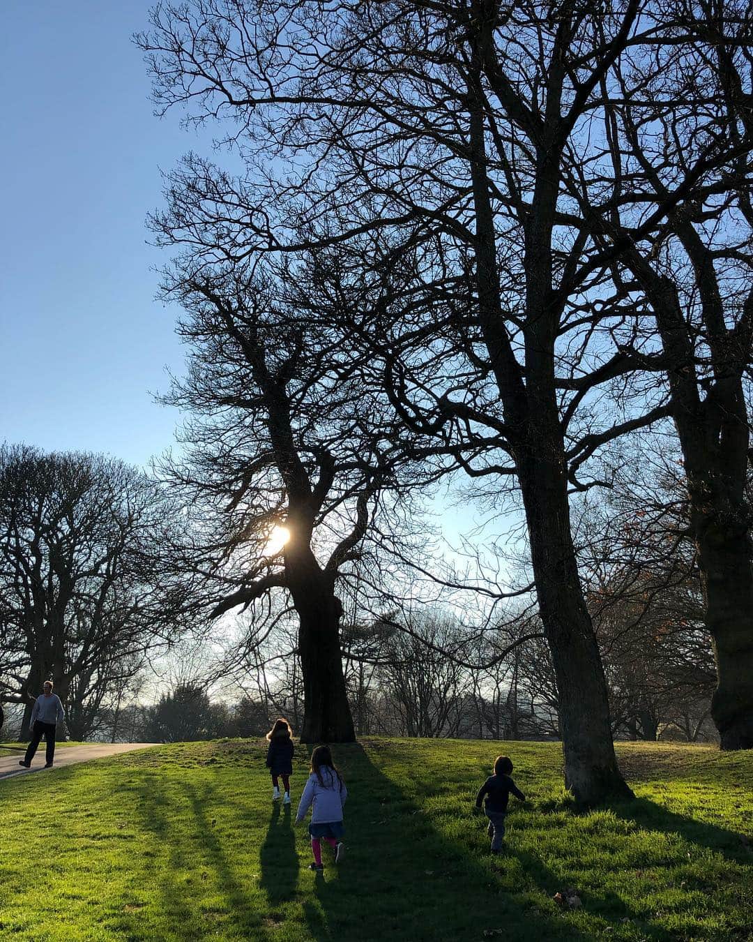中岡由佳さんのインスタグラム写真 - (中岡由佳Instagram)「We took a walk on Hampstead Heath!Vast and lovely park. #hampsteadheath #london」2月25日 7時05分 - yuka_nakaoka